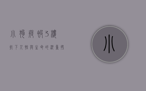 小狗疑被3楼扔下，人性与生命的沉重拷问