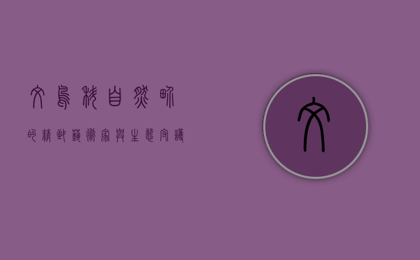 文鸟科，自然界的精致艺术家与生态守护者