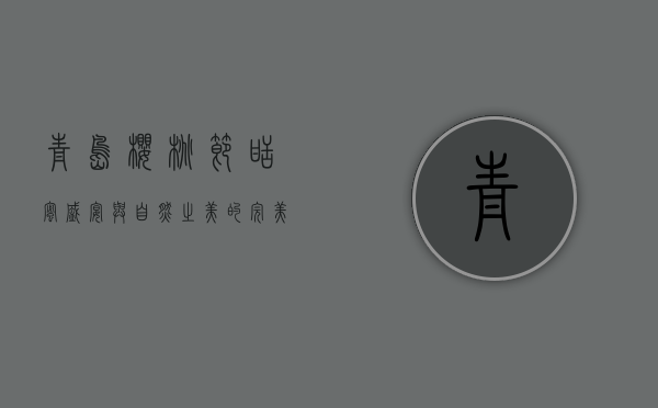 青岛樱桃节，甜蜜盛宴与自然之美的完美融合