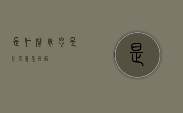 是什么意思（是什么意思日语）