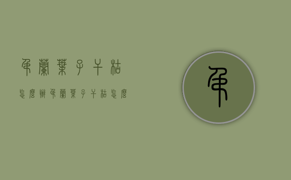 吊兰叶子干枯怎么办（吊兰叶子干枯怎么办视频）