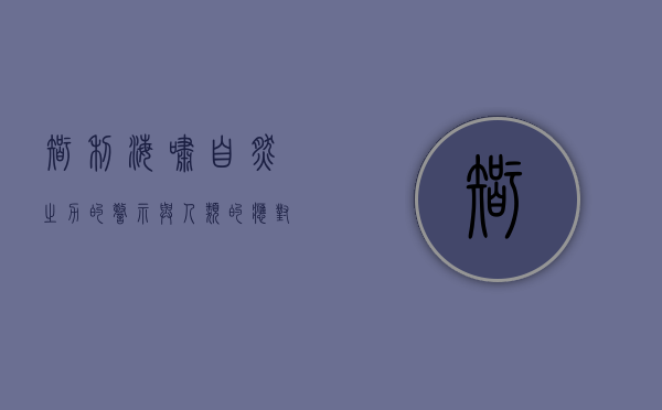 智利海啸，自然之力的警示与人类的应对