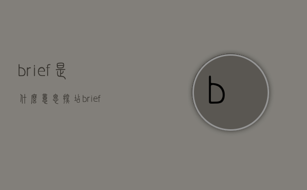 brief是什么意思（探店brief是什么意思）