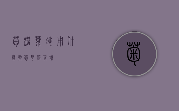 菊潜叶蝇用什么药？（菊花潜叶蛾）
