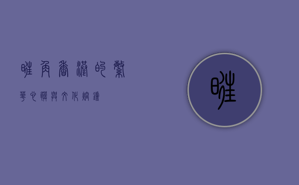 旺角，香港的繁华心脏与文化熔炉