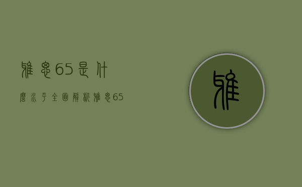 雅思6.5是什么水平？全面解析雅思6.5分的含义与能力要求