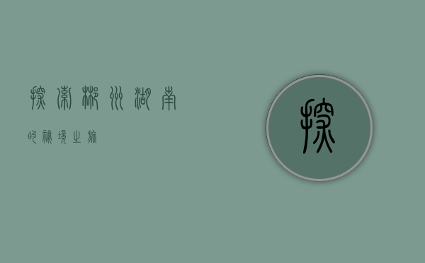 探索郴州，湖南的秘境之旅