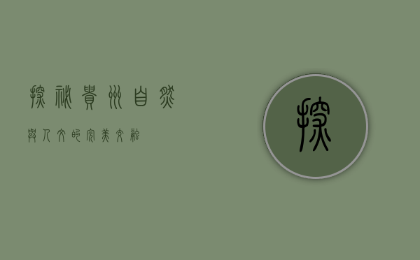 探秘贵州，自然与人文的完美交融