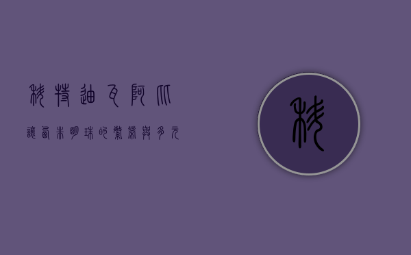 科特迪瓦阿比让，西非明珠的繁荣与多元文化