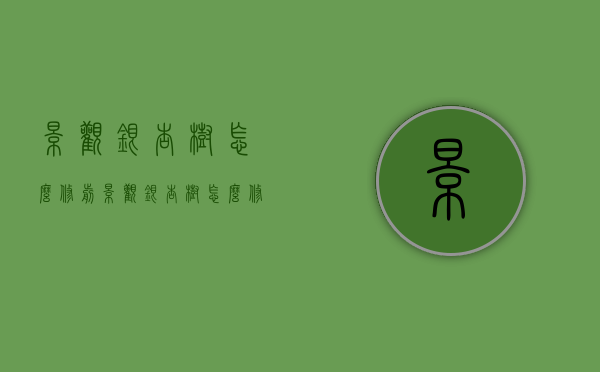 景观银杏树怎么修剪（景观银杏树怎么修剪好看）