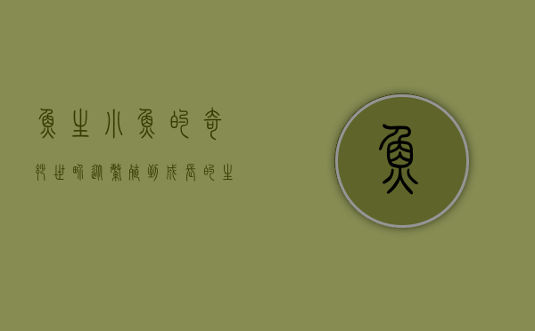 鱼生小鱼的奇妙世界，从繁殖到成长的生物学探秘