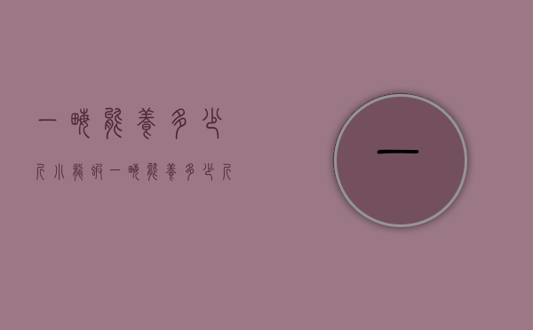 一亩能养多少斤小龙虾（一亩能养多少斤小龙虾呢）