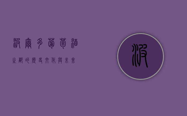 波尔多，葡萄酒之都的历史、文化与未来