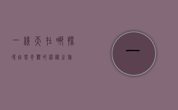 一线天在哪？探寻自然奇观的神秘之旅