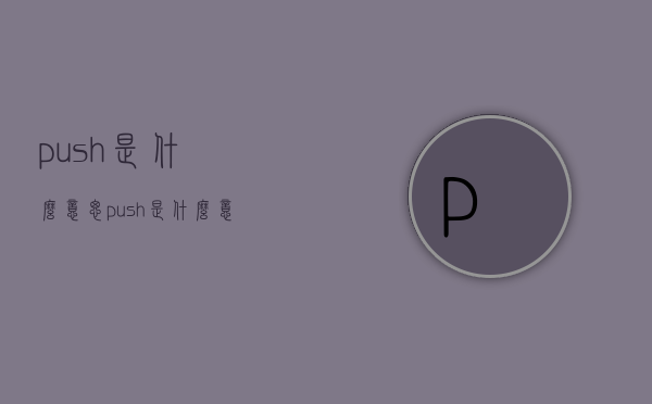 push是什么意思（push是什么意思高铁车上的）