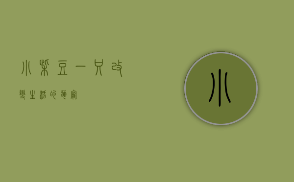 小柴豆，一只改变生活的萌宠