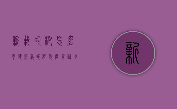 新栽的树怎么养护（新栽的树怎么养护和管理）