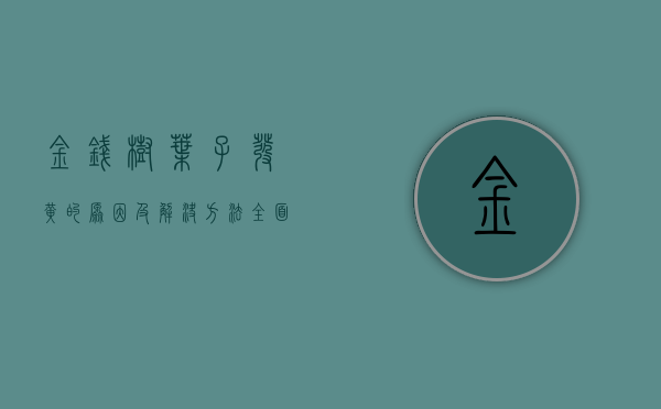 金钱树叶子发黄的原因及解决方法，全面指南