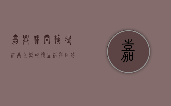 嘉兴休闲，探寻江南水乡的慢生活与自然之美