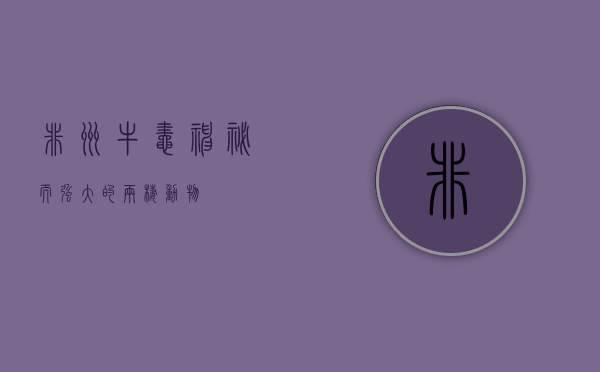 非洲牛蛙，神秘而强大的两栖动物