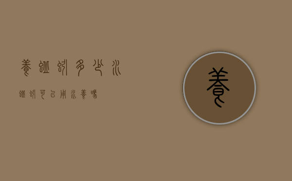 养蚯蚓多少水（蚯蚓可以用水养吗）