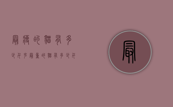 最瘦的猫有多少千克（最重的猫有多少千克）