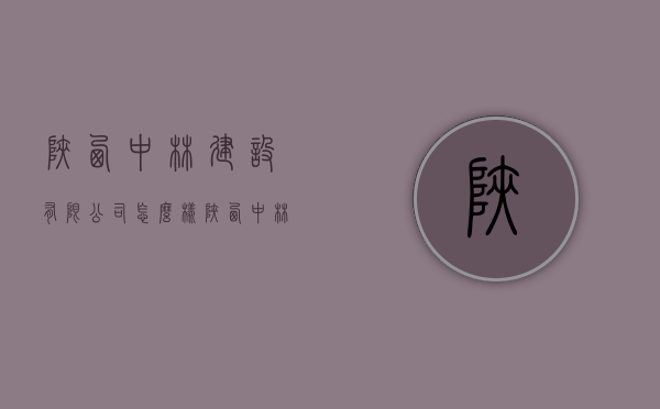 陕西中林建设有限公司怎么样（陕西中林建设有限公司 概况）