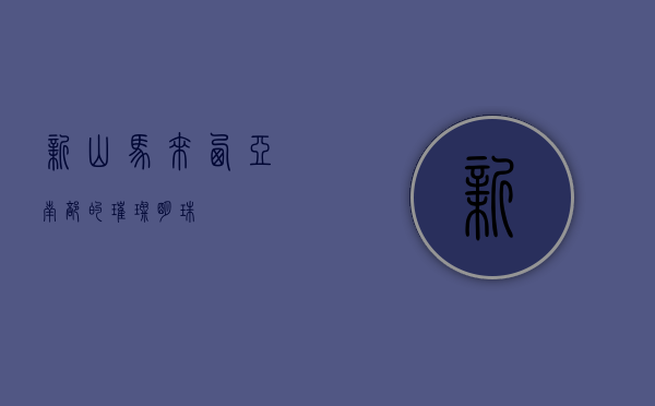 新山，马来西亚南部的璀璨明珠